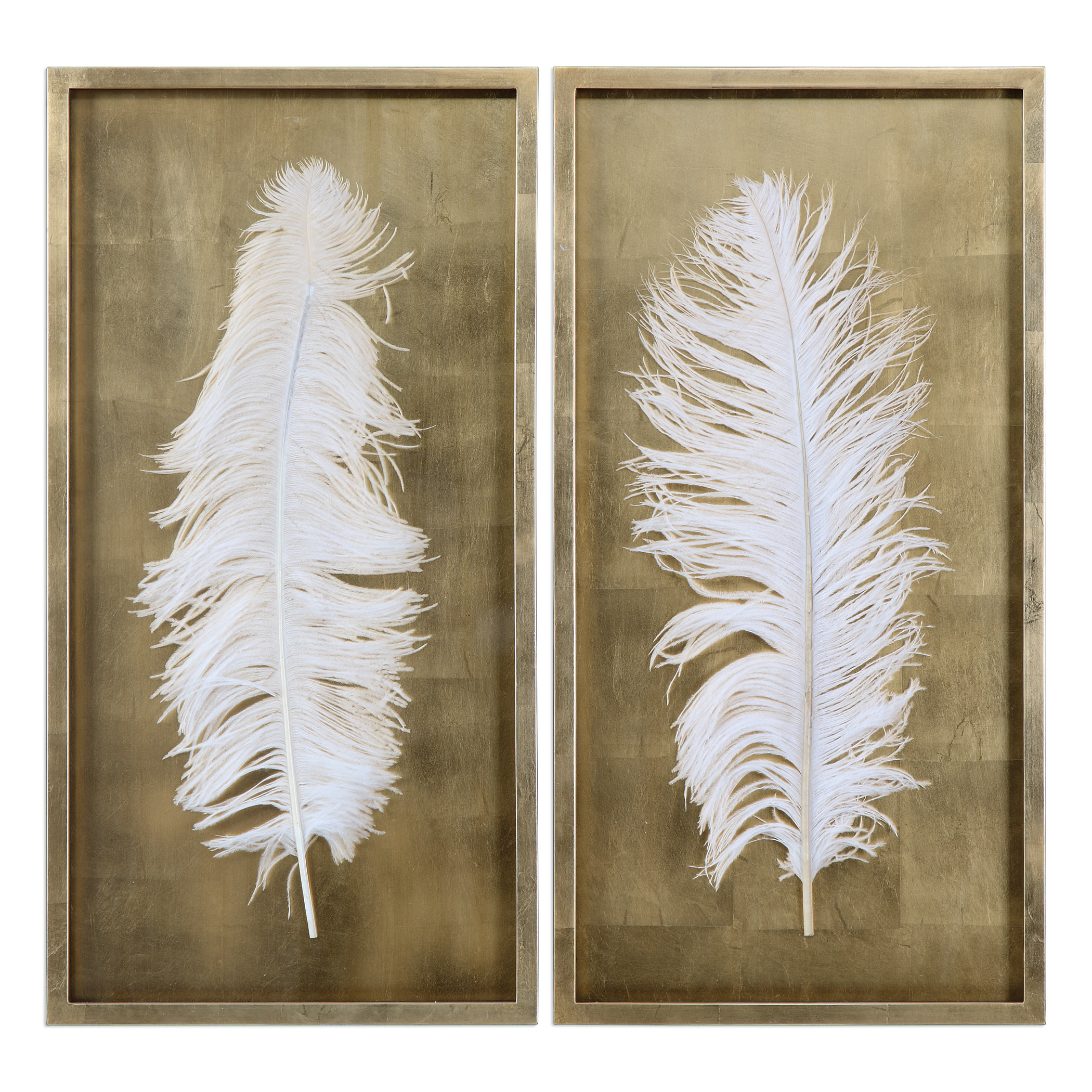 Picture of WHITE FEATHERS SHADOW BOX